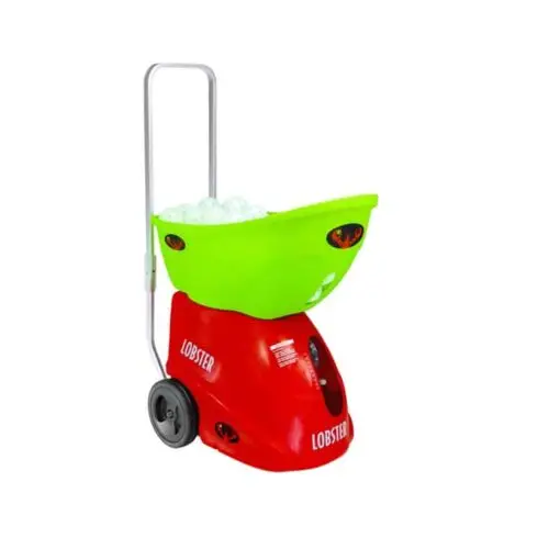 LOBSTER® "THE PICKLE"